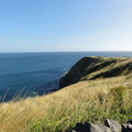 DSC03589